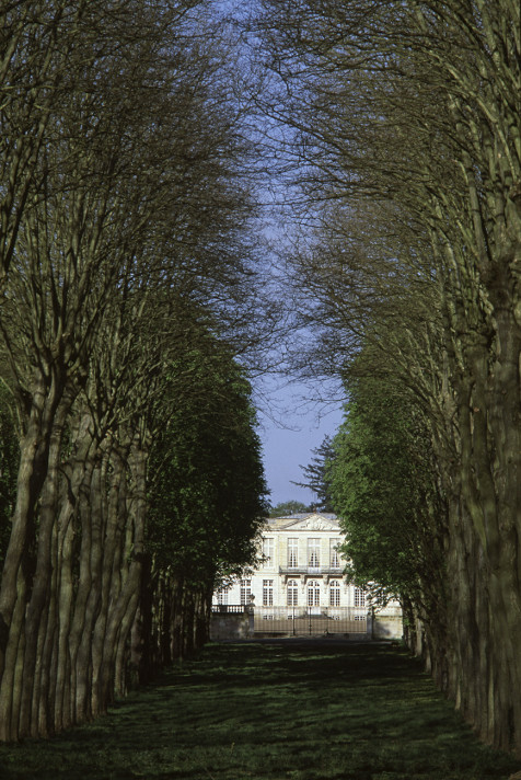 Le parc et les jardins